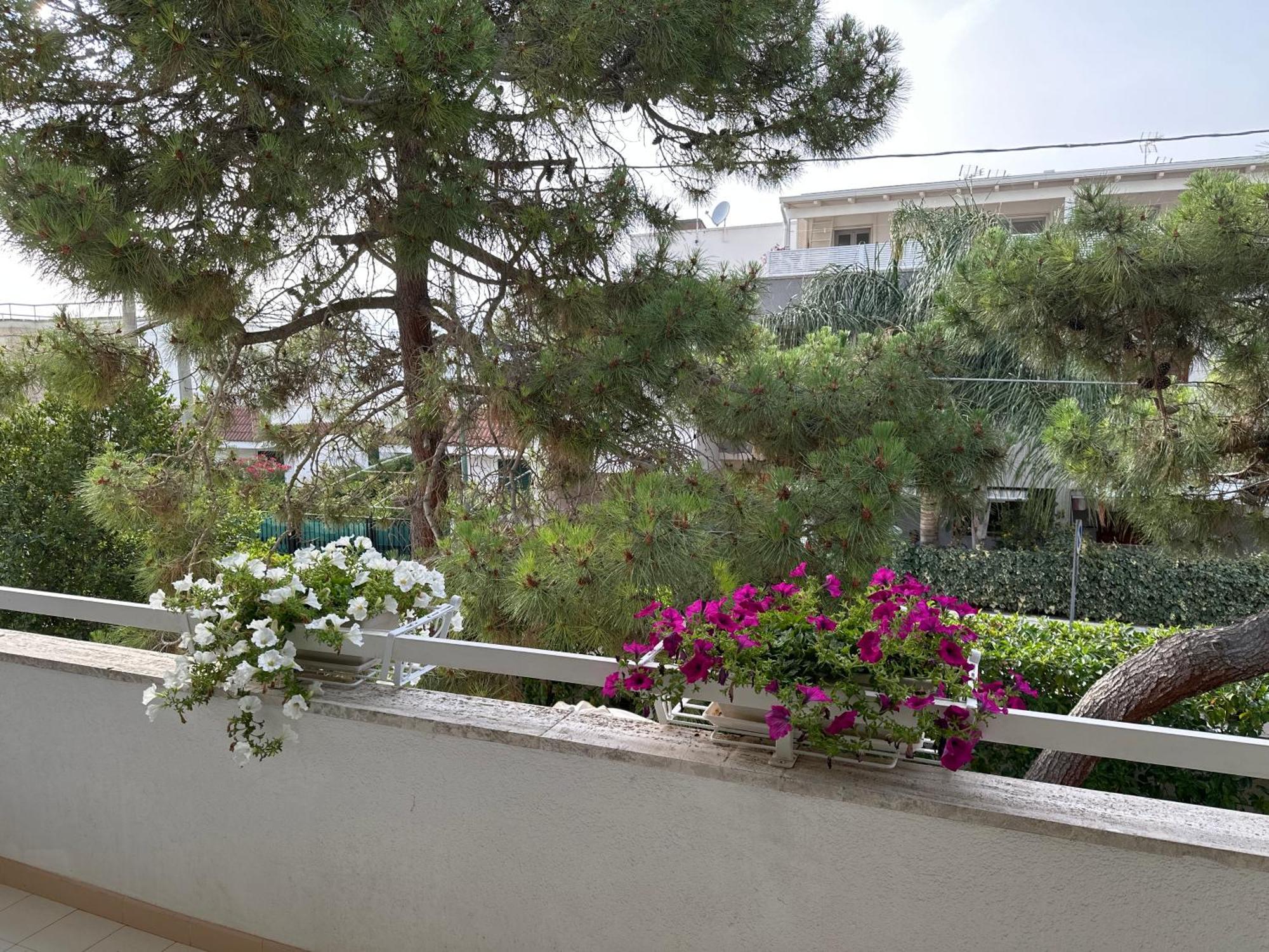 Villa Teresa Maria Porto Cesareo Buitenkant foto